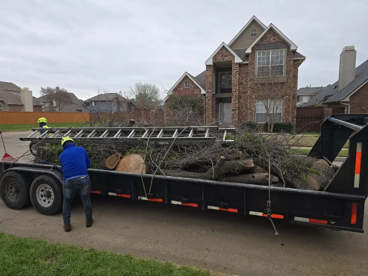 Expert Tree Fertilization with proper safety equipment in Wilberforce